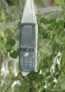 淇濋櫓濂椾究瀹滃拰璐电殑宸埆,淇濋櫓涓嶅緱涓嶈鐨勪簨