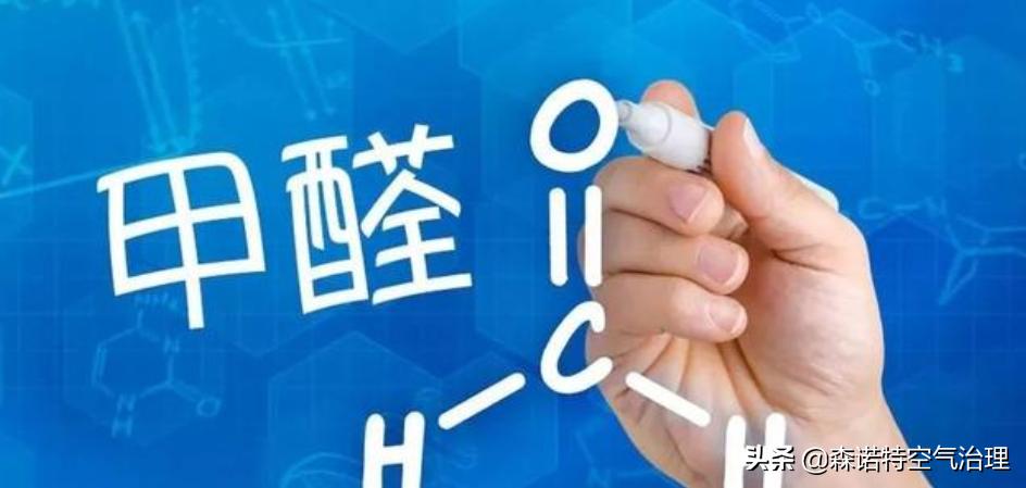 适合室内去除甲醛的植物,室内放什么绿植对去除甲醛有效