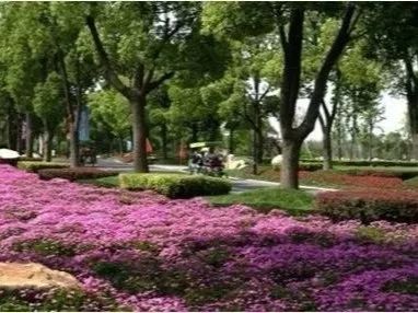 东方绿舟度假村有什么好玩的,东方绿舟附近美食推荐