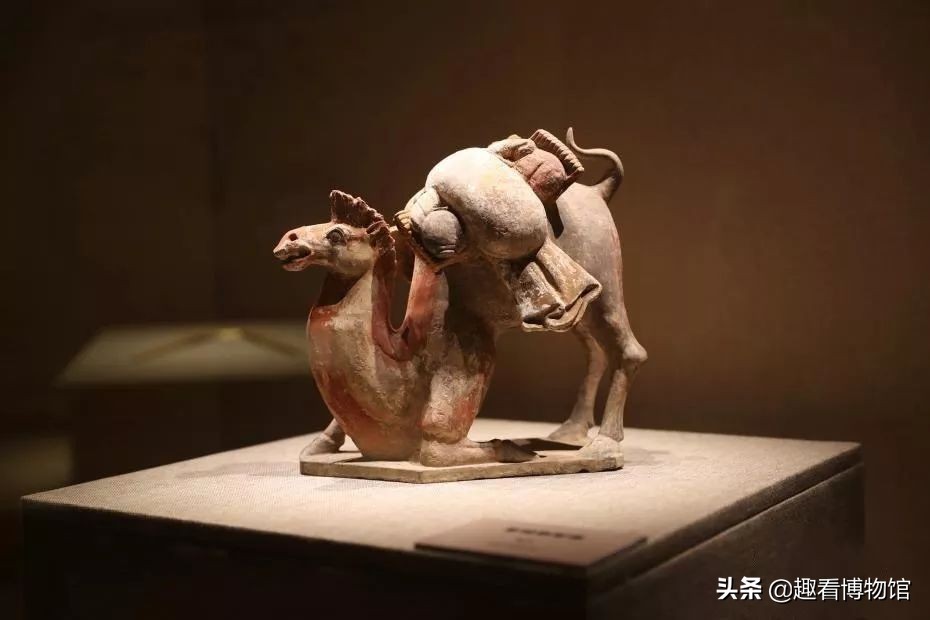 全国最值得去的展览馆,2020全国十大展览精品