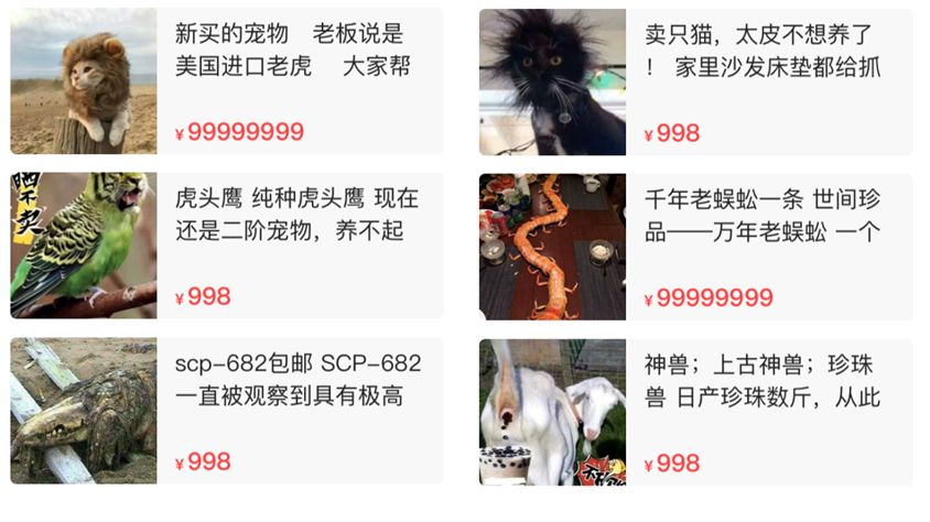 闲鱼上的神兽多少钱一只,闲鱼上的神兽卖家