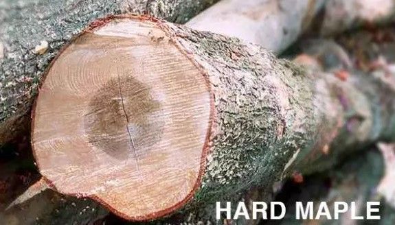 是小鱼型滑板好还是双翘型滑板好,初学滑板怎么挑选滑板