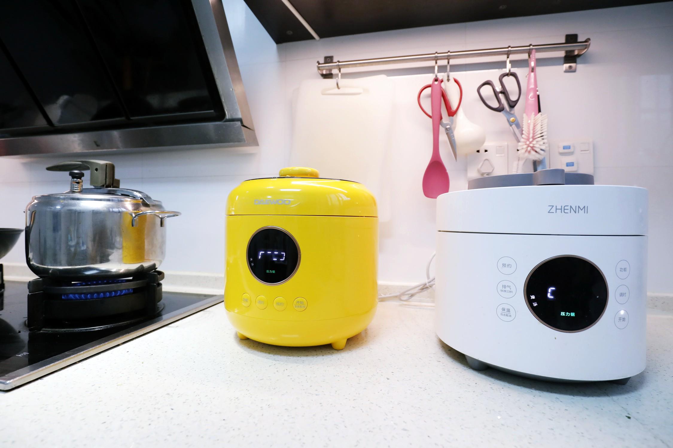 蒸煮两用电压力锅哪个牌子好,家用压力锅和微压锅哪个好