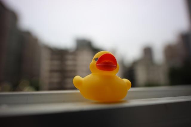 老蛙90mmf2.8镜头测评,老蛙15mmf4.5超广角移轴镜头说明