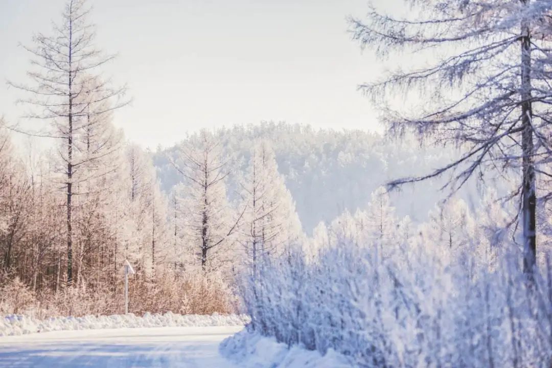 11-12月十大必去旅行地,12月高性价比的旅游地