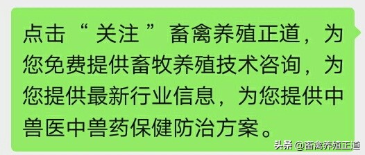 猪圆环病毒口诀,猪圆环病毒怎么预防