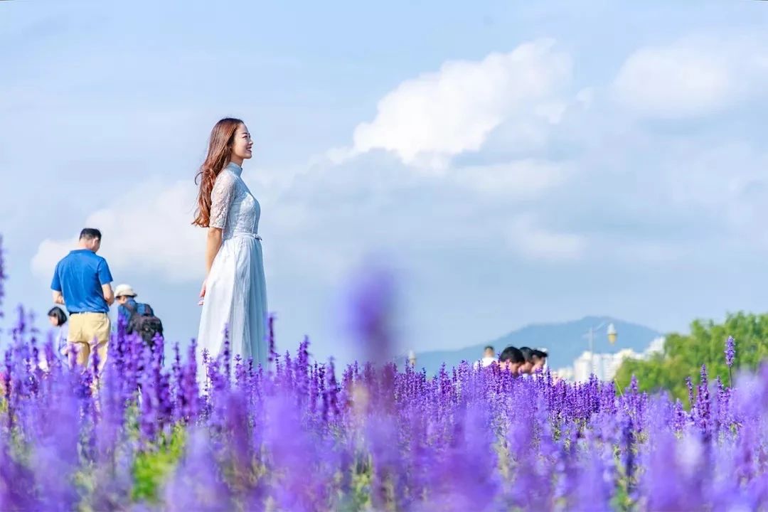 深圳看海去哪里比较好,深圳出地铁就看海的地方是哪里