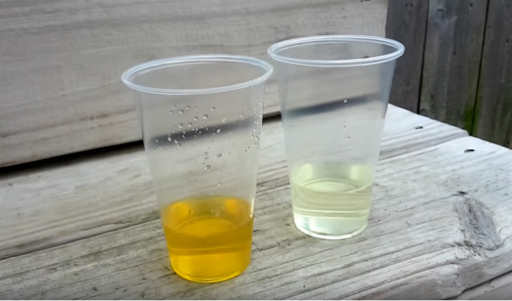 塞洋葱、尿淋麦子，古代人验孕花样，甚至把青蛙整灭绝了？