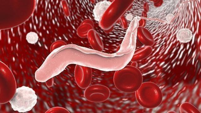 肛门有个肉疙瘩就一定是痔疮吗,痔疮手术后肛门有小肉疙瘩正常吗