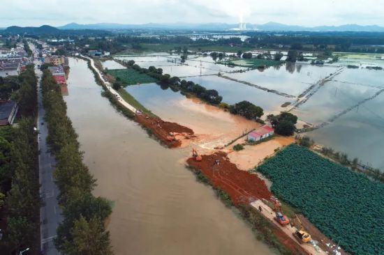 63厘米!16个昼夜!合肥是如何拼尽全力的?