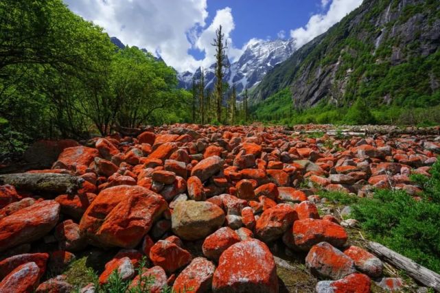 阿坝州红叶之旅,什么时候去阿坝州看秋景最佳