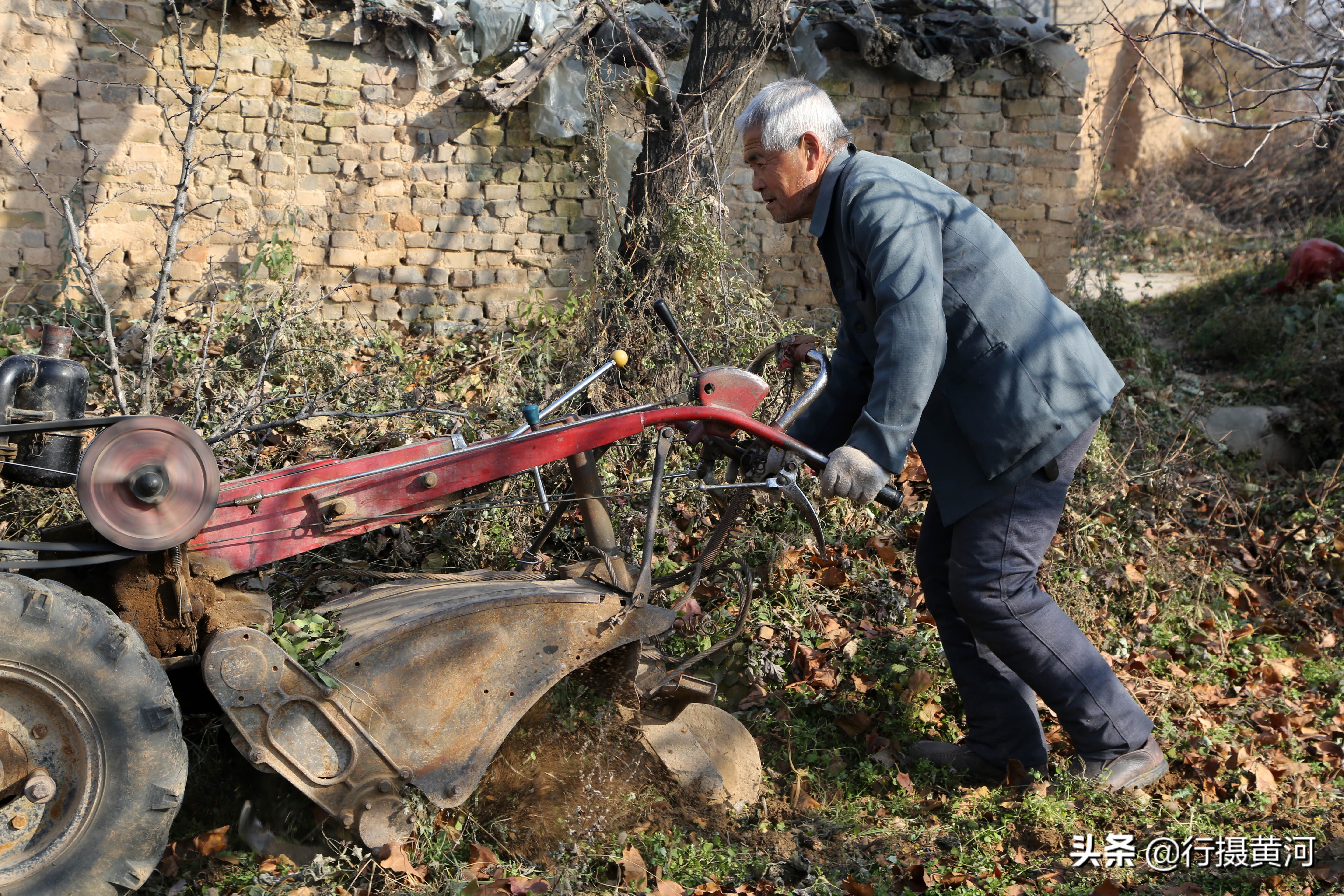 1985老铁牛55型拖拉机,铁牛力大无穷