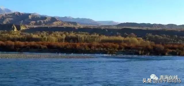 原来青海的历史还有这么多你不知道的秘密！
