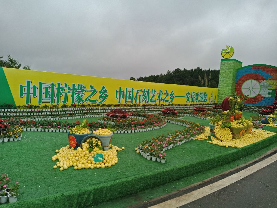 安岳柠檬小镇宝森收门票不,安岳宝森柠檬小镇门票