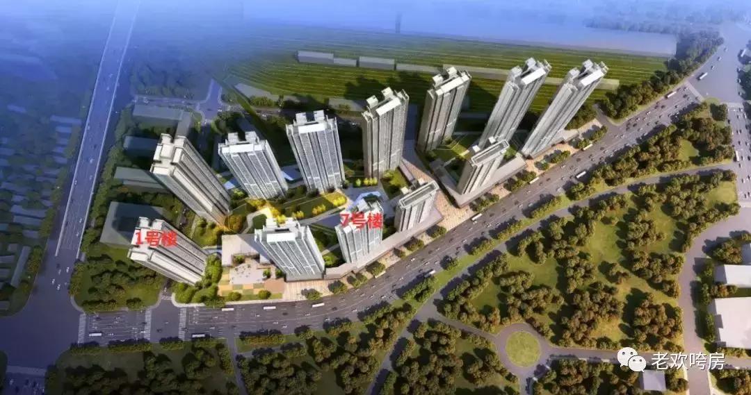 胆子粗｜武昌二环外“学景房”能卖2.7万+？