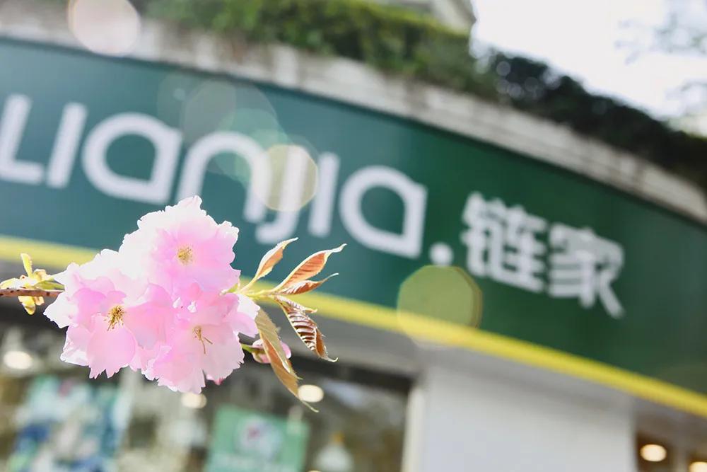 济南链家现状,济南链家5周年