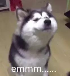 一键搞定iphone手机也能双卡双待,iphone单卡实现双卡双待