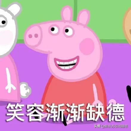 初中英语水平考雅思6.5分如何学习,雅思6.5分有多难