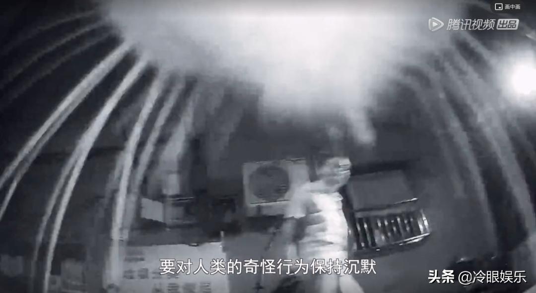 小动物永远都幸福,小动物长得最美也最可爱