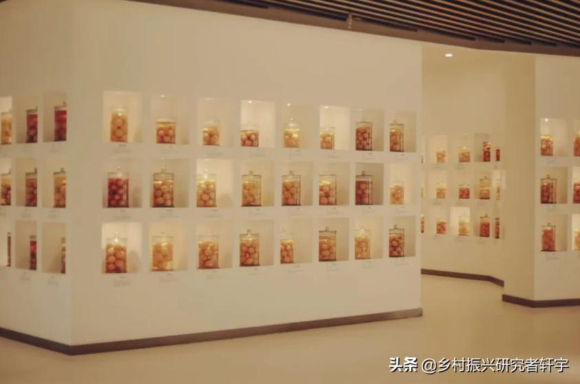 乡村振兴特色产业打造规划方案,河南柘城县乡村振兴的支柱产业