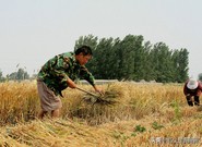 农业创业三大陷阱,农业创业必须知道的五大雷区