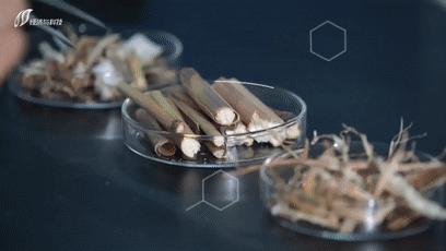 秸秆变能源田间垃圾实现华丽变身,废料变身环保砖