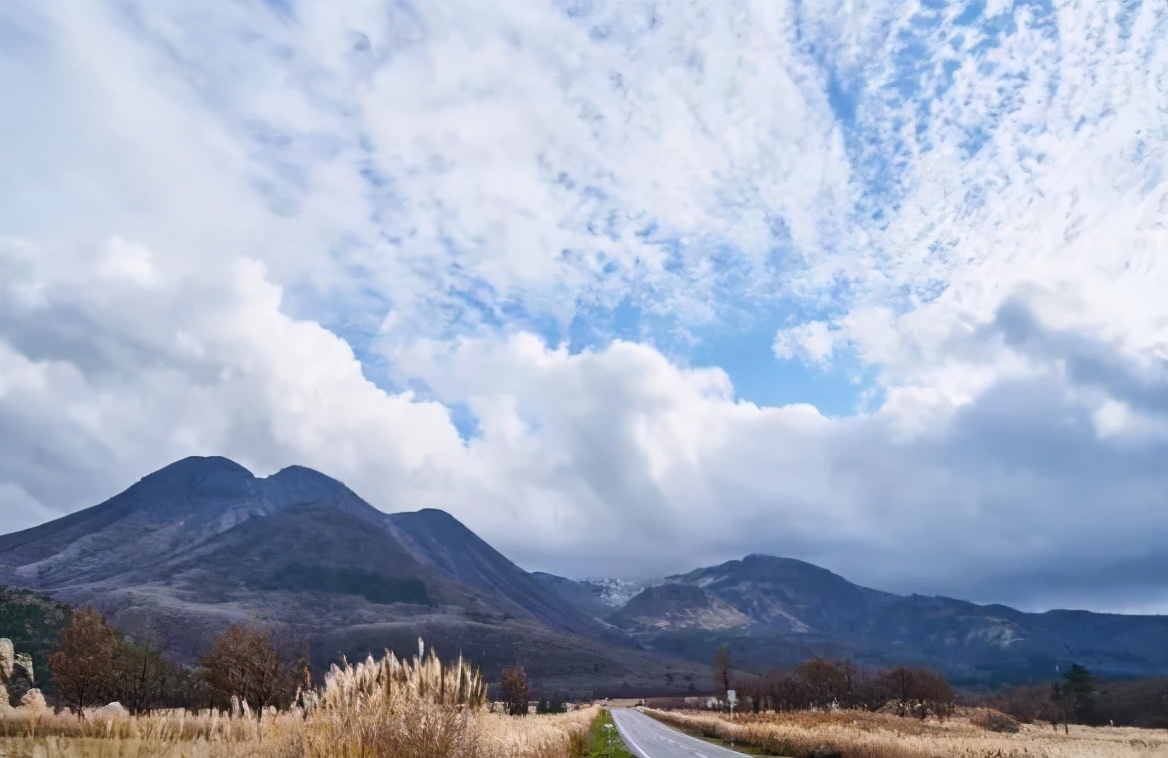 玩转日本东京大阪奈良,日本关东自由行旅行攻略
