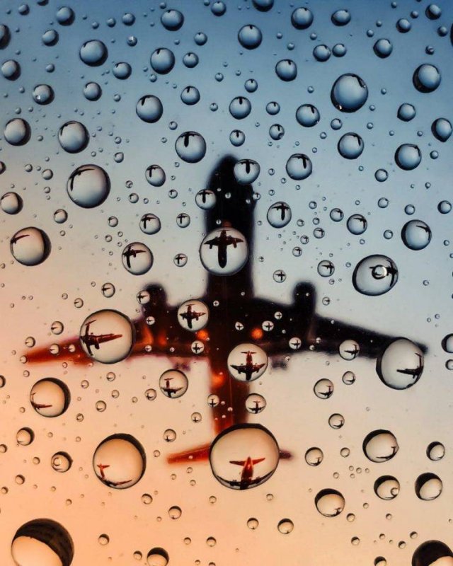 50张照片每一张都让人赞叹不已,50张让人叹为观止的照片