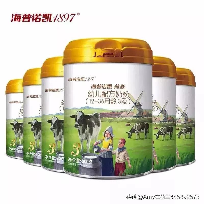 amy荷兰,amy德国代购