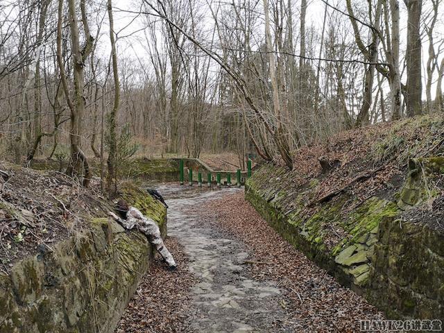 用照片说话：德国幻影公司“黄蜂II”Z4迷彩实际伪装效果如何？