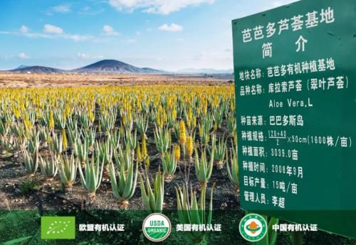 芭芭多芦荟美容有哪些项目,芭芭多芦荟美容产品