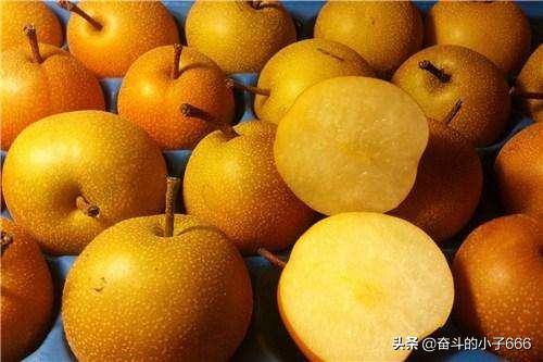 湖北省咸宁市有哪些特产,湖北省洪湖北市最新特产