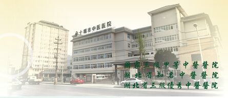 湖北省中医医院标志,湖北省洪湖市中医医院