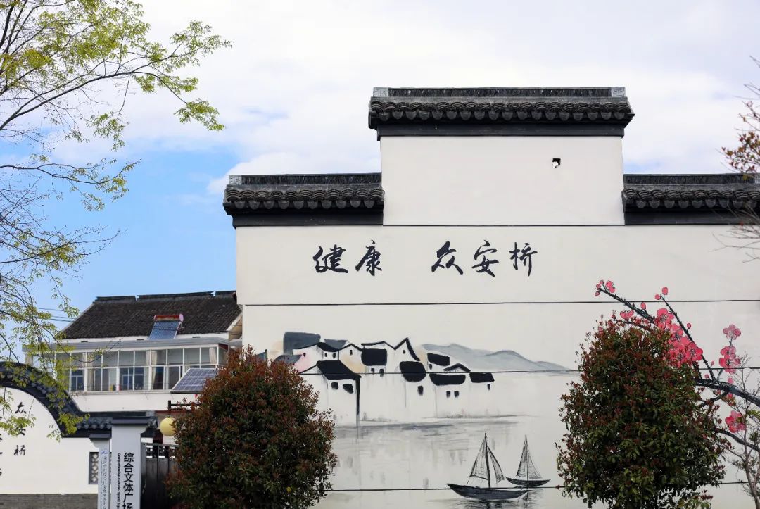 苏州的农村风光,苏州水乡农村风景