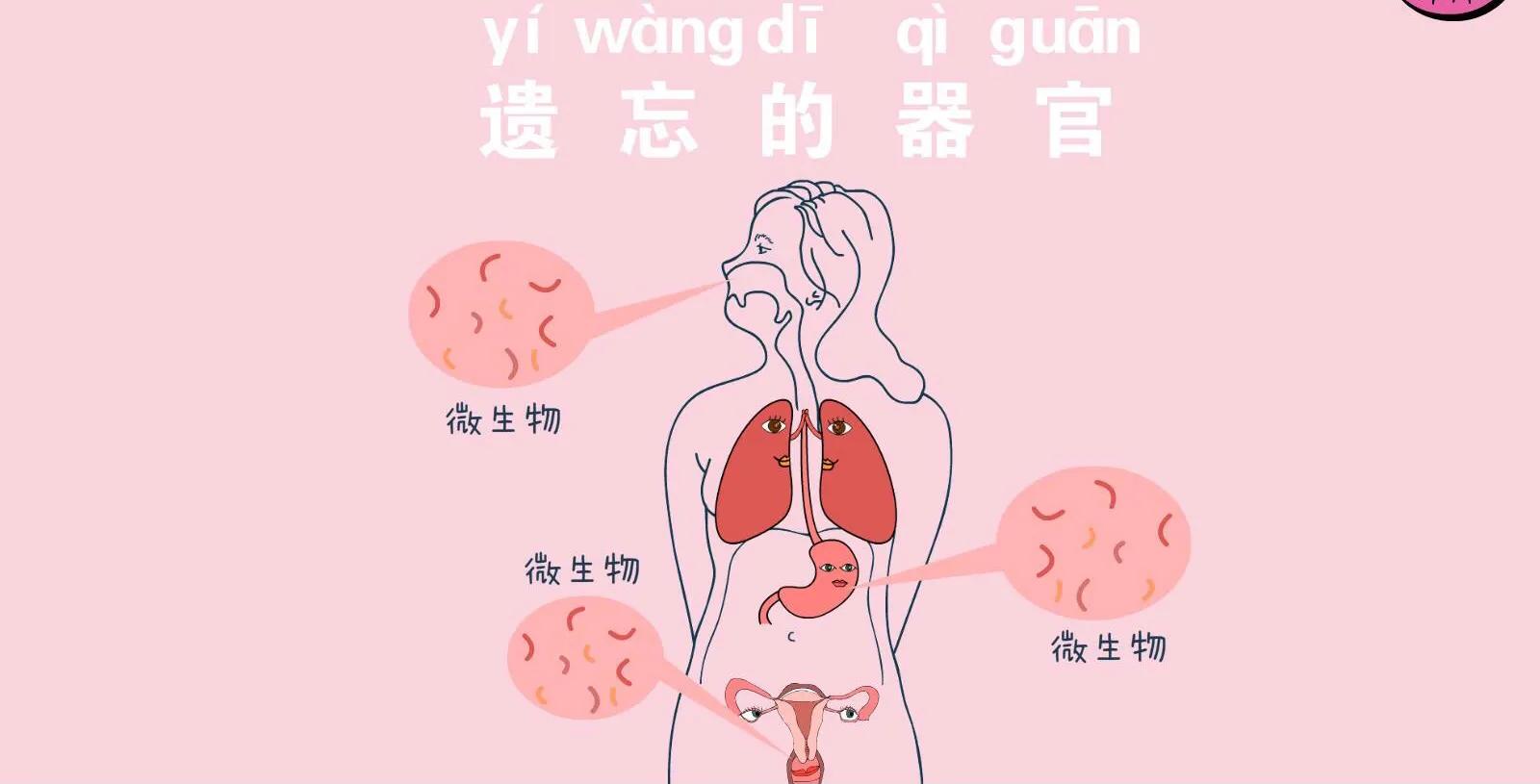 白带异常外阴瘙痒用什么药,白带多外阴瘙痒有点疼是咋回事