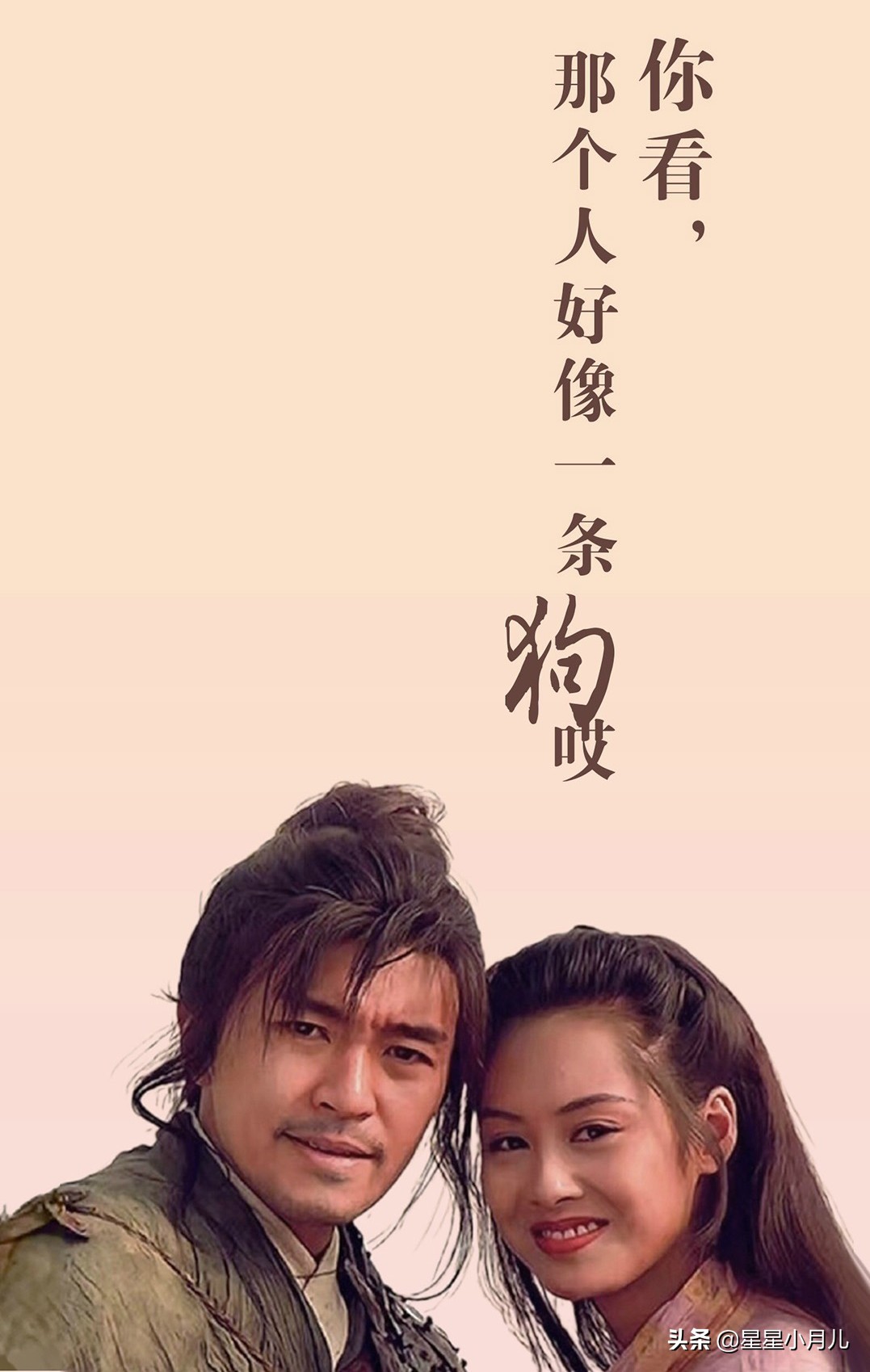 过度解读电影,过度解读周星驰