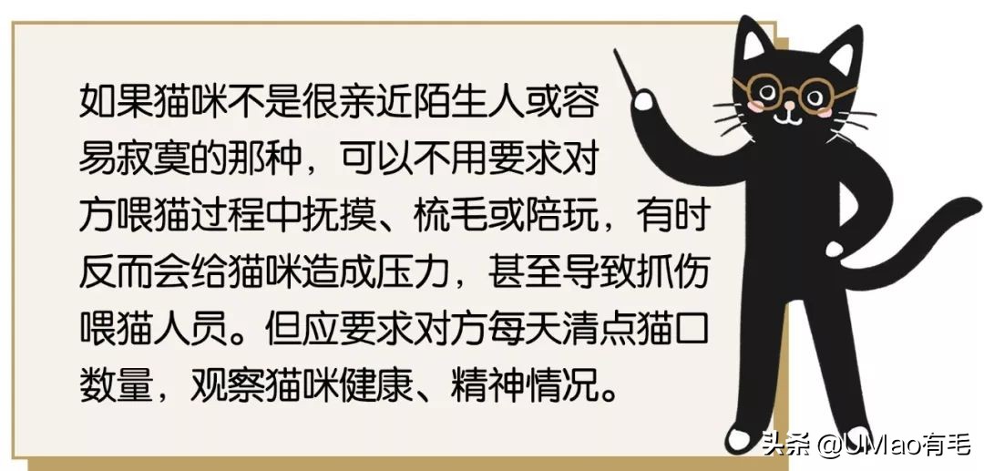 上门喂猫到底怎么样,上门喂猫一般多久一次