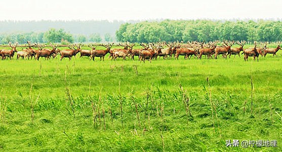 湖北荆州石首,鄂南明珠图片