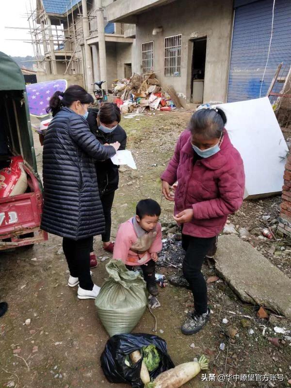 阳新荆头山农场：娘子军抗“疫”风采