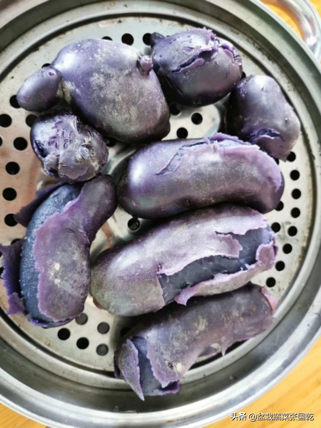 紫土豆怎么种,紫土豆的种类及功效