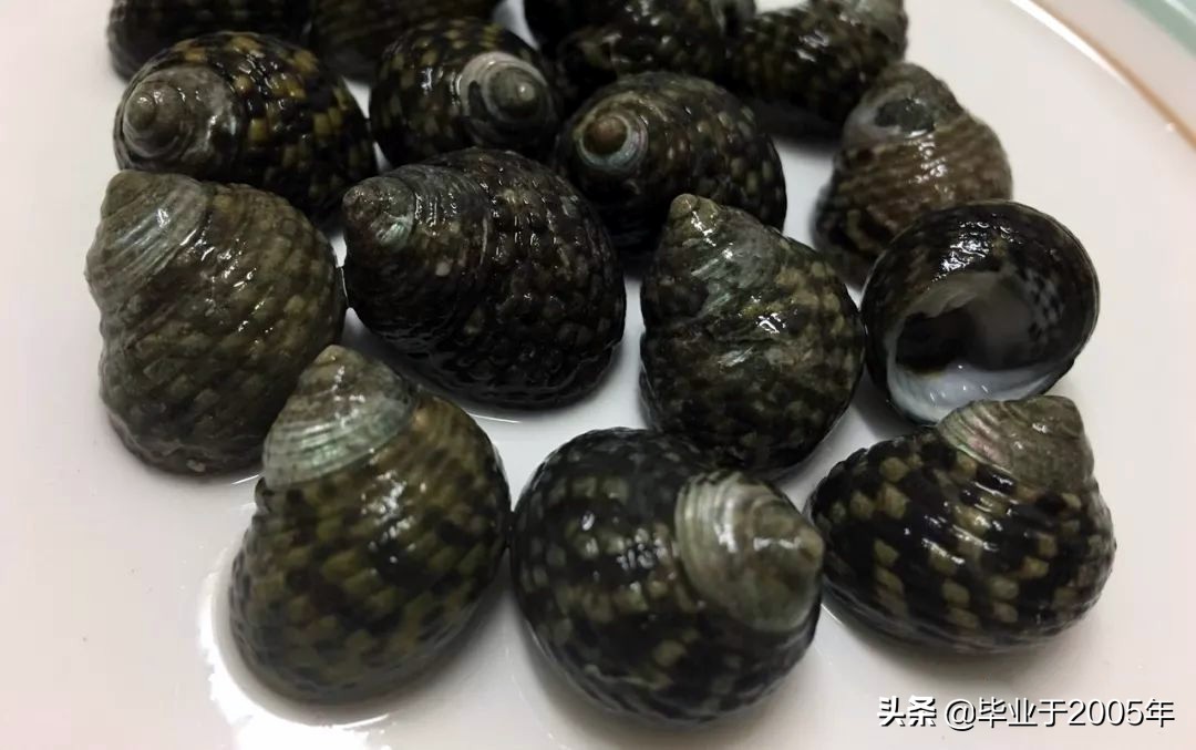 大连海鲜吃货,大连海鲜的种类