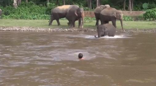 30张活久未见的图片,30组活久见的照片