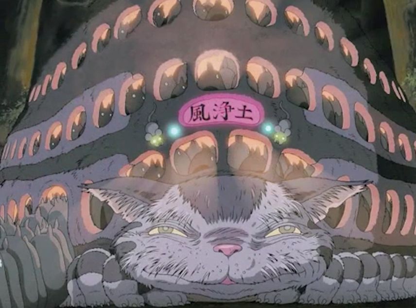 龙猫可怕的真相,龙猫事件真相揭秘