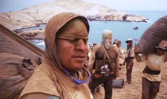 秘鲁鸟粪工工资,秘鲁的鸟粪开采工人