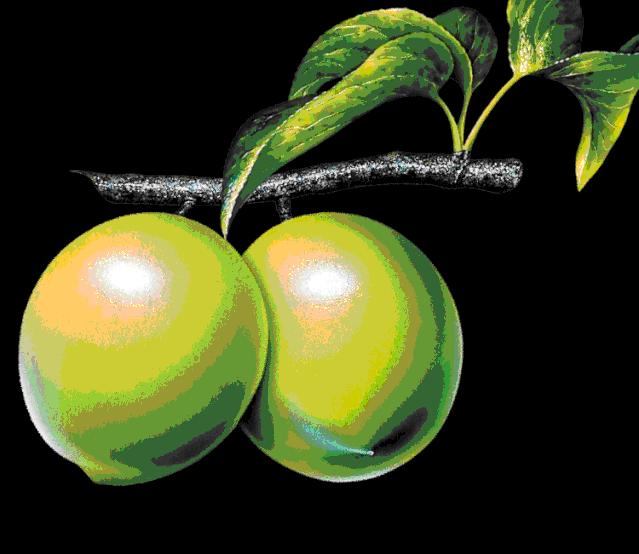 大年初三群相册，有群的都看看，太美了，这辈子见一次值了