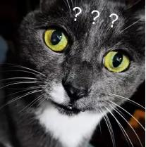 5g网络冲浪选手什么意思,各位冲浪人年度热词解读