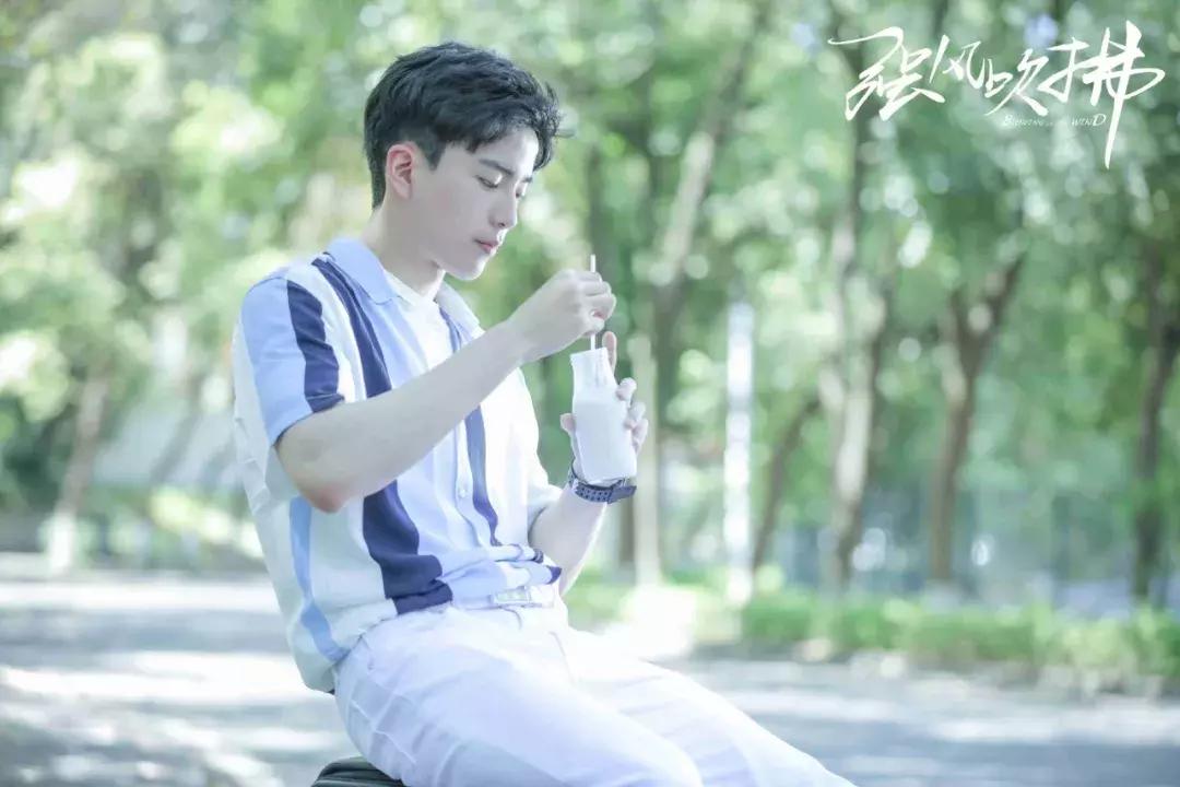 专访光芒影业CEO高铭谦：《强风吹拂》这部青春剧有啥不一样？