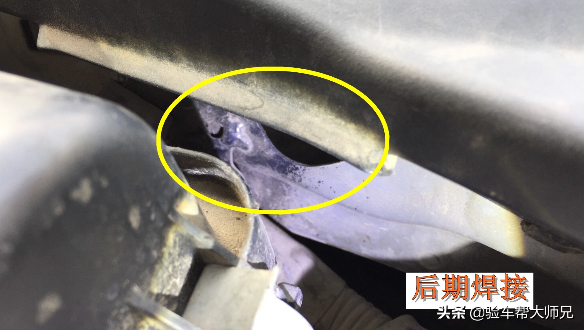 本田耐用的车歌诗图,歌诗图算是本田车里最好的车