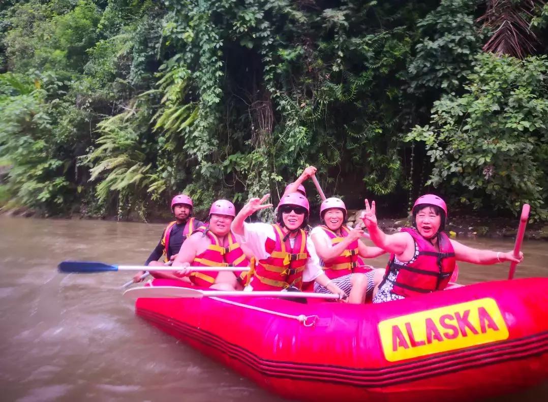 世界网红打卡地,全世界网红打卡地