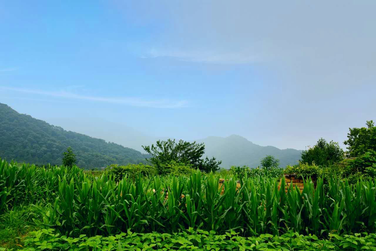 摩友一起骑行的视频,与摩友一起川藏